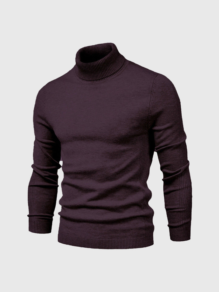 "Herren Rollkragenpullover aus weicher, pflegeleichter Baumwolle, klassischer Schnitt in verschiedenen Farben, elegant gestal