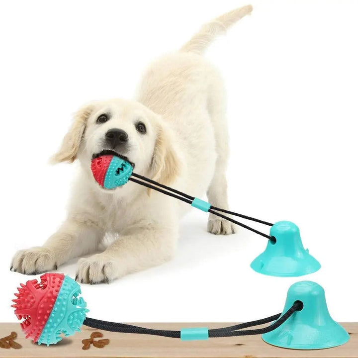 "Hund spielt mit interaktivem Saugnapfspielzeug zur Zahnpflege, blau, stressabbauend."