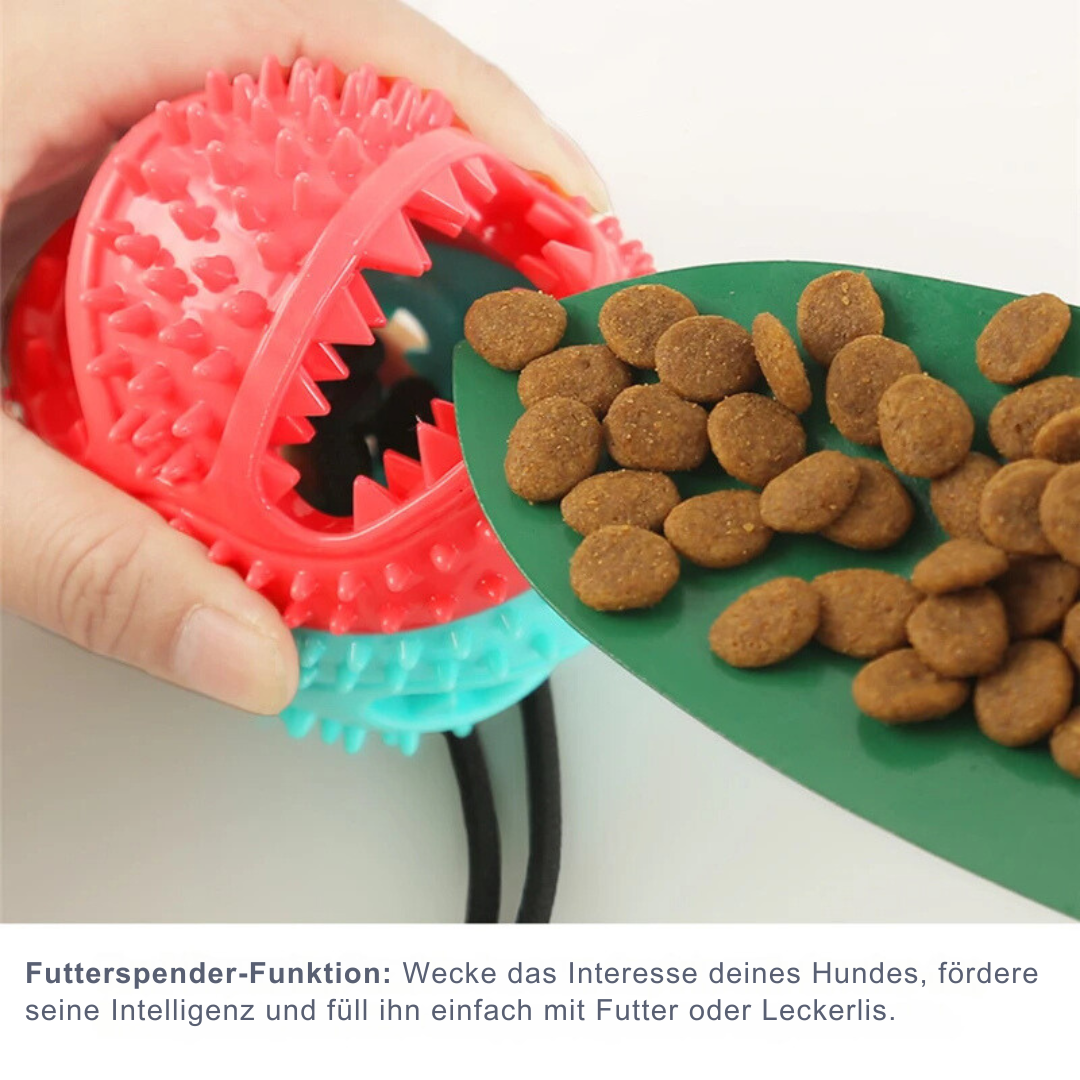 "Hund spielt mit interaktivem Saugnapfspielzeug zur Zahnpflege, blau, stressabbauend."