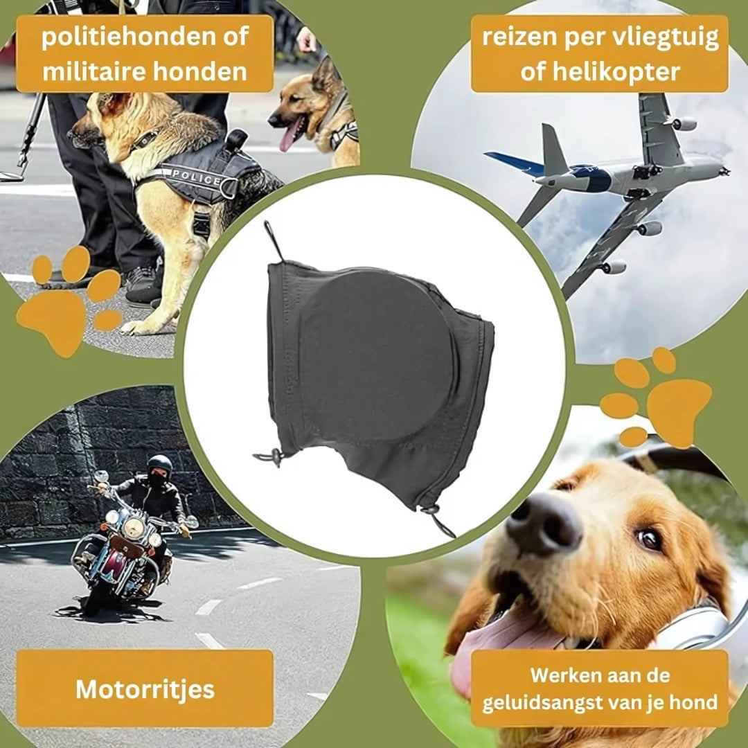 "Hund trägt komfortablen, blauen Gehörschutz; stressfrei bei lauten Geräuschen. Effektiver Schutz für alle Hunderassen."