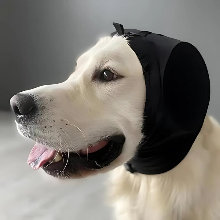 "Hund trägt komfortablen, blauen Gehörschutz; stressfrei bei lauten Geräuschen. Effektiver Schutz für alle Hunderassen."