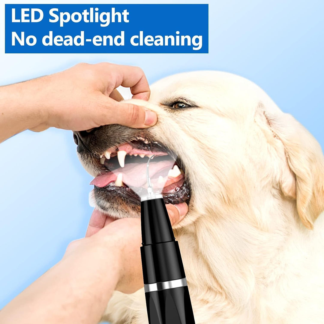 Hundezahnbürste mit LED-Licht, schwarz, für gründliche Zahnpflege bei Haustieren.