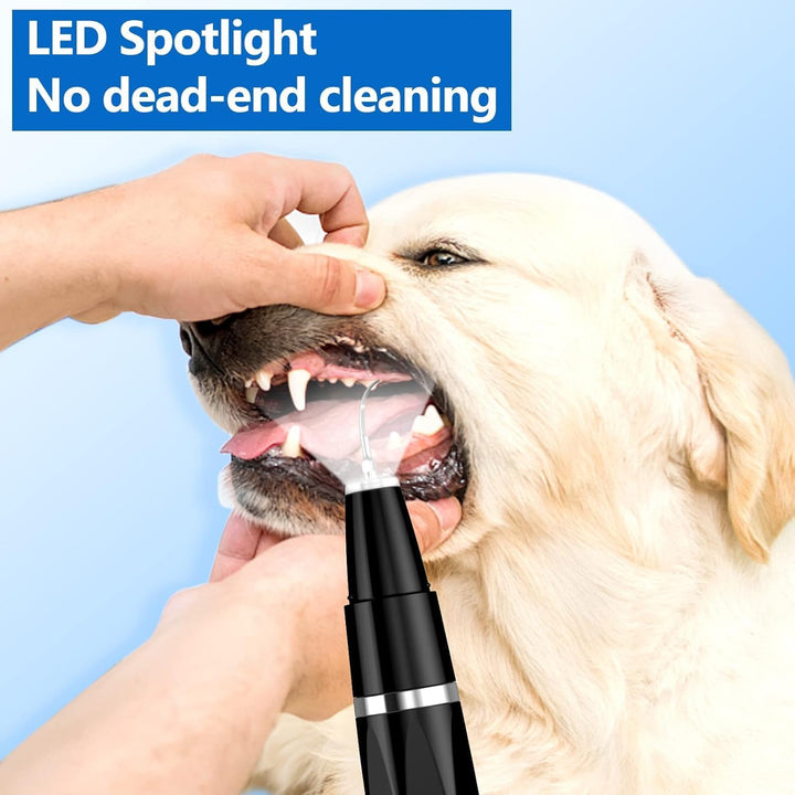 Hundezahnbürste mit LED-Licht, schwarz, für gründliche Zahnpflege bei Haustieren.