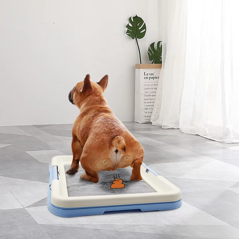 "Hygienisches Hunde-WC Indoor mit rutschfester Matte, ideal für Welpen und kleine Hunde, einfache Reinigung."