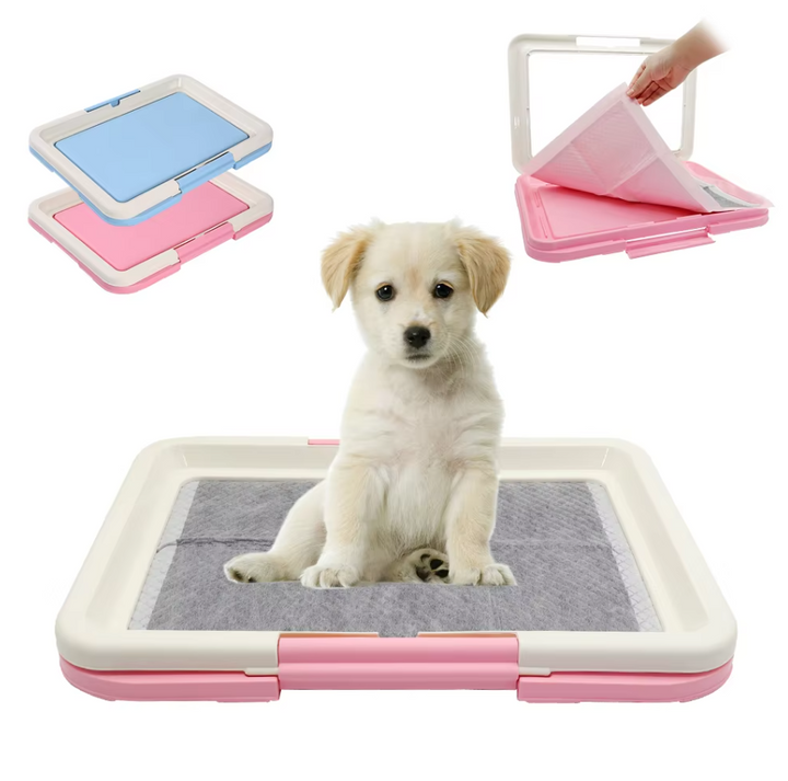 "Hygienisches Hunde-WC Indoor mit rutschfester Matte, ideal für Welpen und kleine Hunde, einfache Reinigung."
