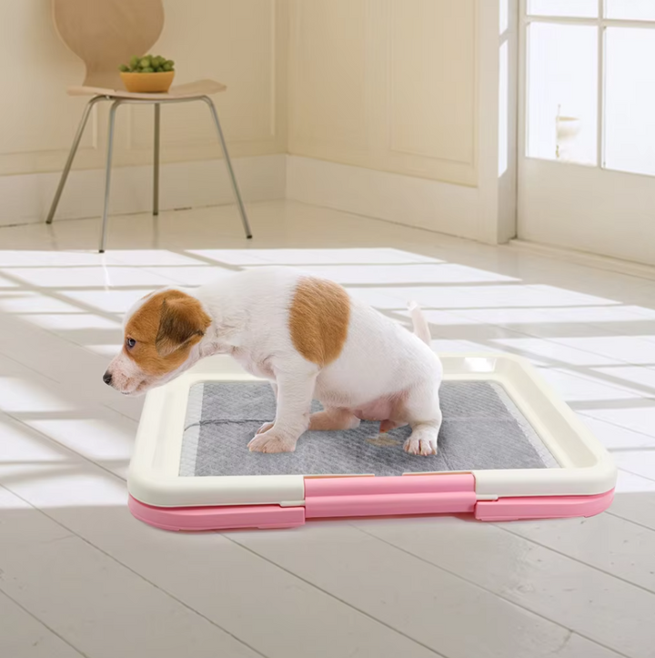 "Hygienisches Hunde-WC Indoor mit rutschfester Matte, ideal für Welpen und kleine Hunde, einfache Reinigung."