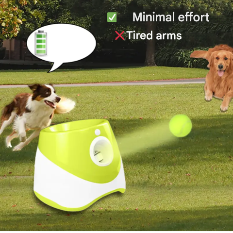 "Interaktiver Ballwerfer für Hunde, wiederaufladbar, mit 3 bunten Bällen, ideal für Garten- oder Parkspiele."