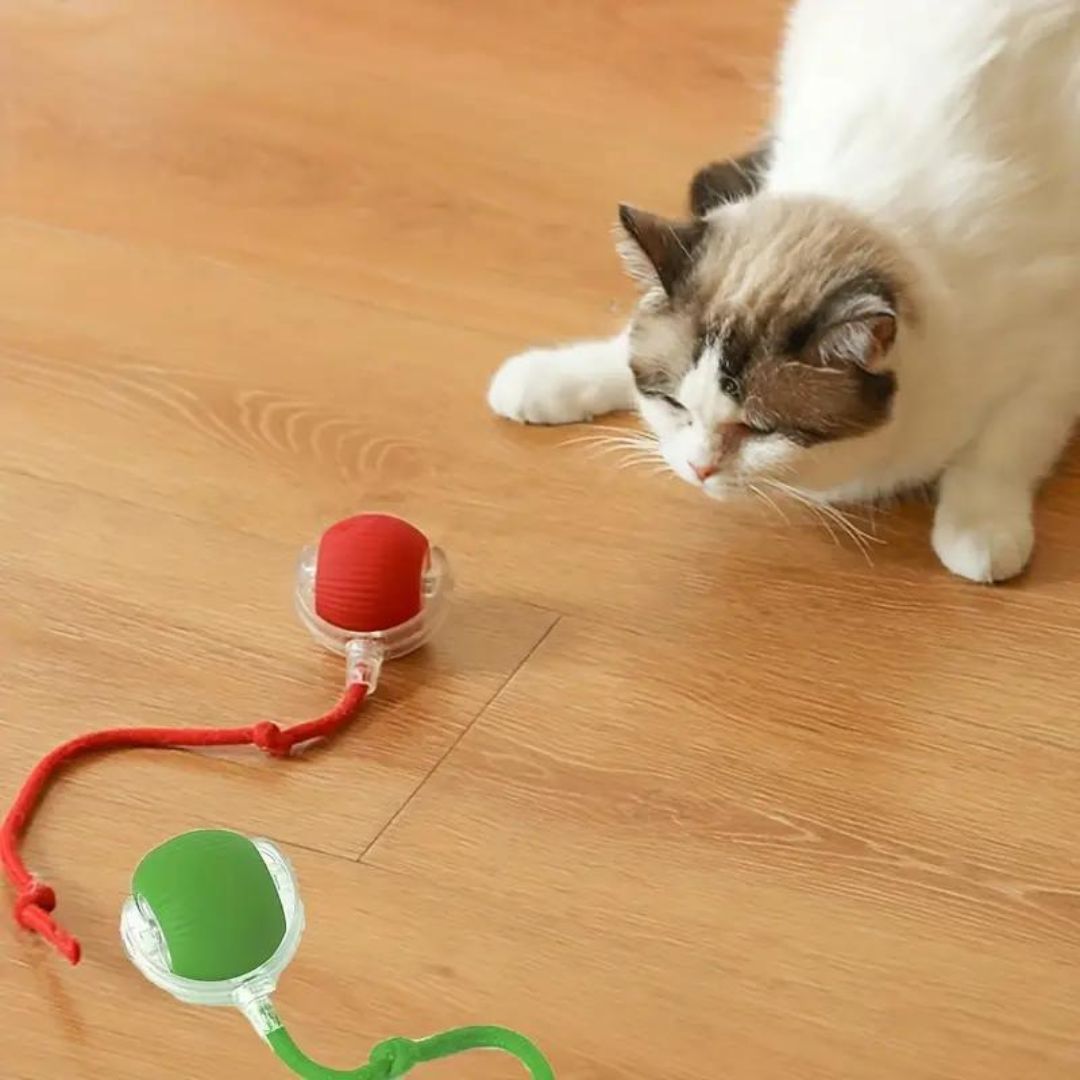 "Interaktiver Katzenspielball mit Schwanz, automatische Bewegung, robust, stimuliert Jagdinstinkt der Katze, grau"