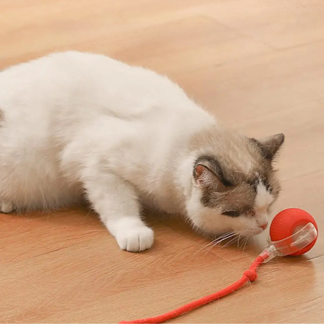 Interaktiver Katzenspielzeug-Ball, grau, mit beweglichem Schwanz für aktives Spielen und Jagdinstinkt-Förderung.