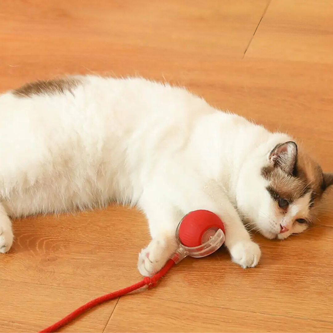 Interaktiver Katzenspielzeug-Ball, grau, mit beweglichem Schwanz für aktives Spielen und Jagdinstinkt-Förderung.