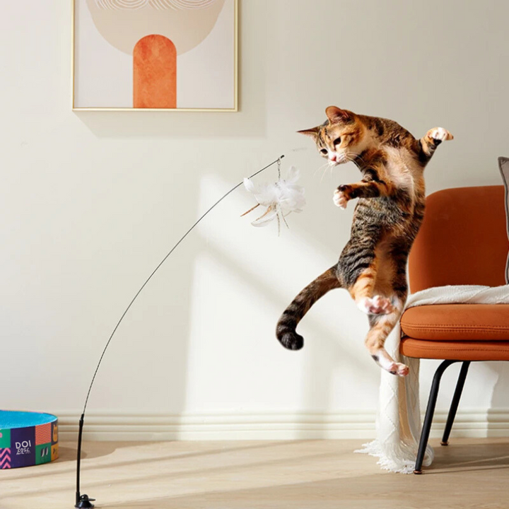 "Interaktives, farbenfrohes Katzenspielzeug mit Federn, stimuliert Jagdinstinkte mit Vogel-Design für tierischen Spielspaß."