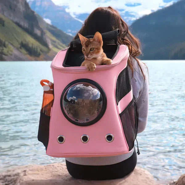 "Katzen Transporttasche mit Belüftung, Panorama-Fenster und gepolstertem Innenraum in Beige, Grau und Rosa für Reisen."