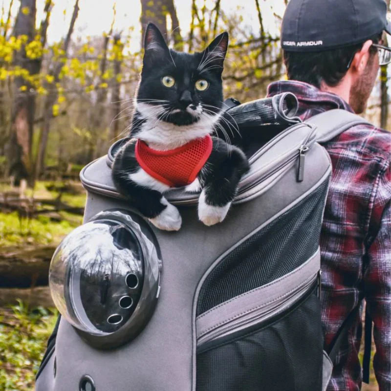 "Katzen Transporttasche mit Belüftung, Panorama-Fenster und gepolstertem Innenraum in Beige, Grau und Rosa für Reisen."