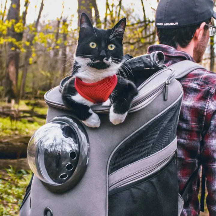 "Katzen Transporttasche mit Belüftung, Panorama-Fenster und gepolstertem Innenraum in Beige, Grau und Rosa für Reisen."