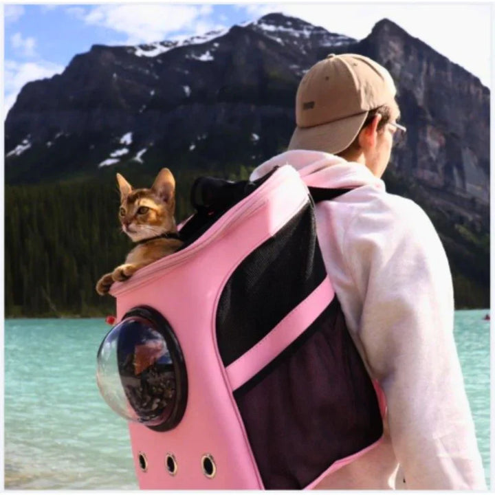 "Katzen Transporttasche mit Belüftung, Panorama-Fenster und gepolstertem Innenraum in Beige, Grau und Rosa für Reisen."