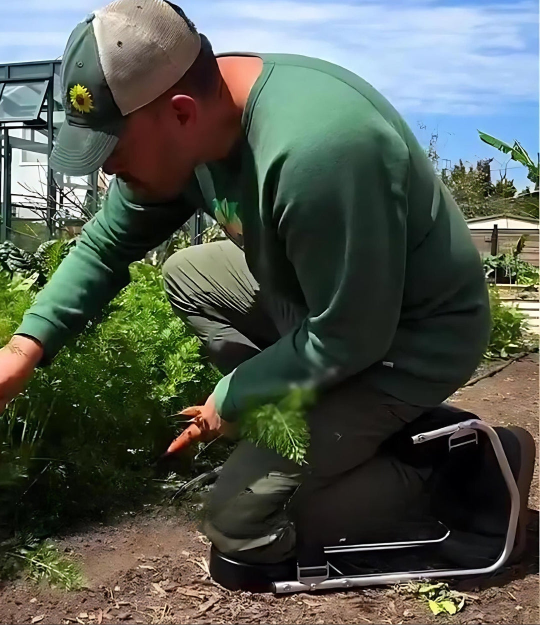 Mann beim Gärtnern mit Kniekissen, grünem Pullover, Baseballkappe, im Garten.
