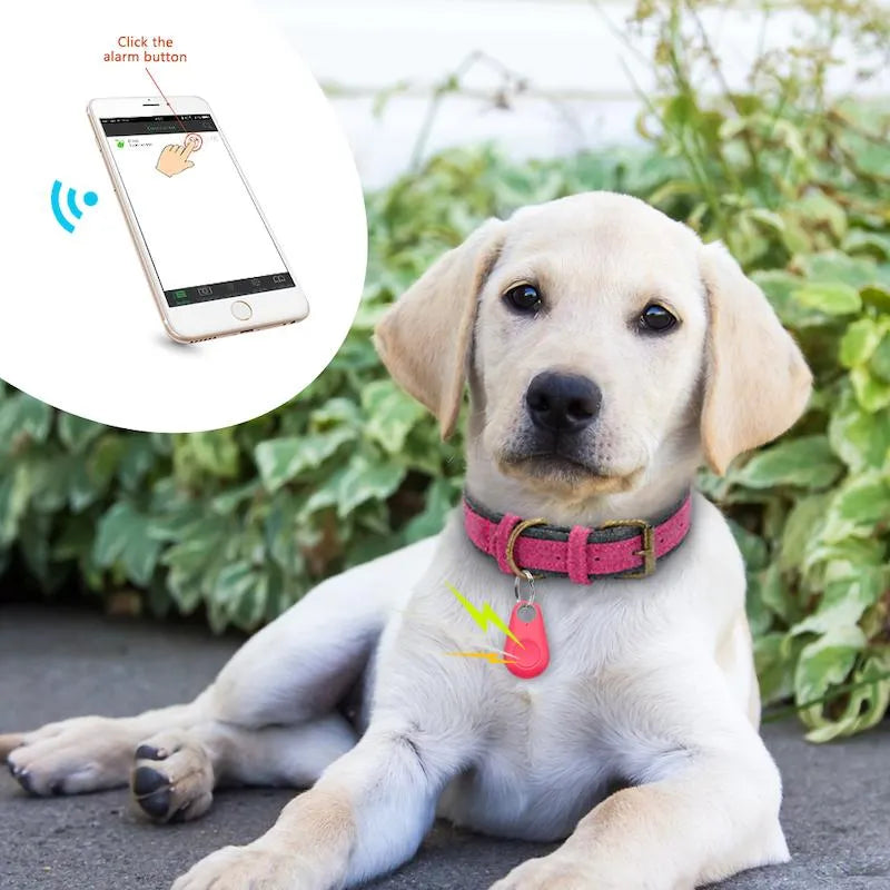 "Kompakter GPS-Tracker für Haustiere, wasserdicht, ideal zur Echtzeit-Ortung von Hunden und Katzen, an Halsband befestigt."