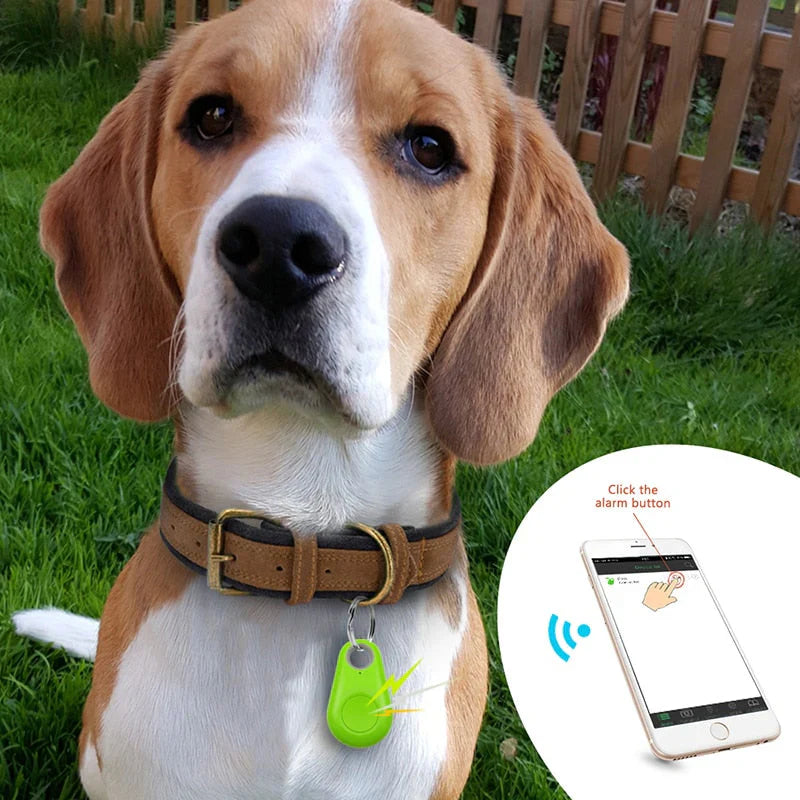 "Kompakter GPS-Tracker für Haustiere, wasserdicht, ideal zur Echtzeit-Ortung von Hunden und Katzen, an Halsband befestigt."