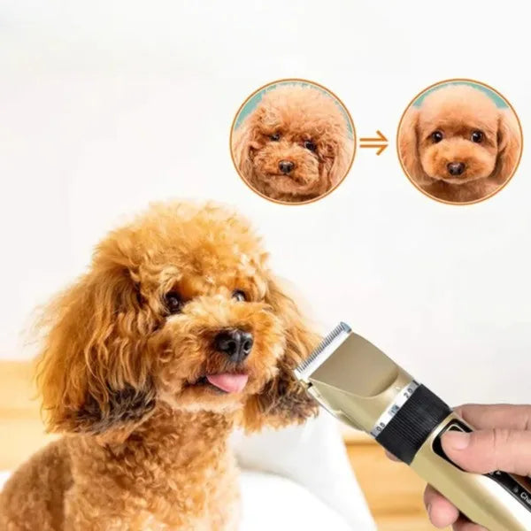 "Lautloser, kabelloser Felltrimmer für Hunde mit präzisen Klingen und langer Akkulaufzeit, ideal zur stressfreien Pflege."
