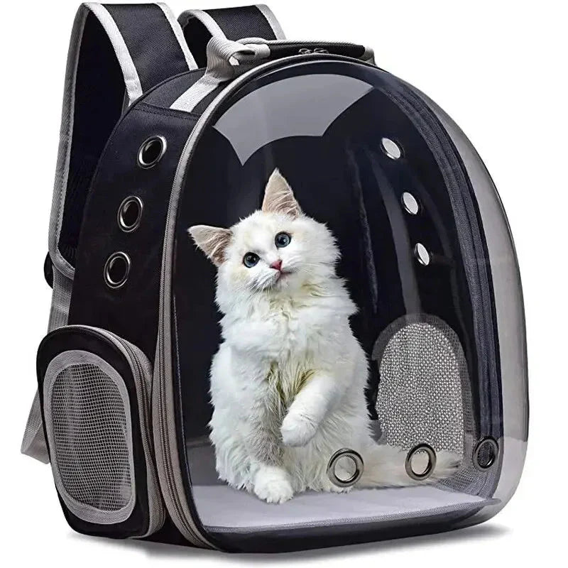 "Moderner Haustier-Rucksack mit transparentem Design, atmungsaktiv und ergonomisch, bietet Komfort und Sicherheit für Ihr Hau