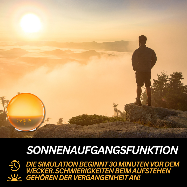 "Natürlicher Radiowecker mit Licht, sanfte Sonnenaufgangssimulation, modernes Design, LED-Anzeige, Gadgets & Accessories."