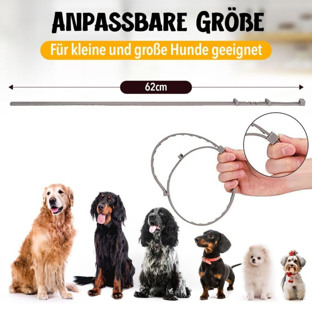 "Natürlicher Zecken- und Flohschutz Halsband für Hunde, stilvoll und in verschiedenen Farben mit 100% natürlichen Inhaltsstof