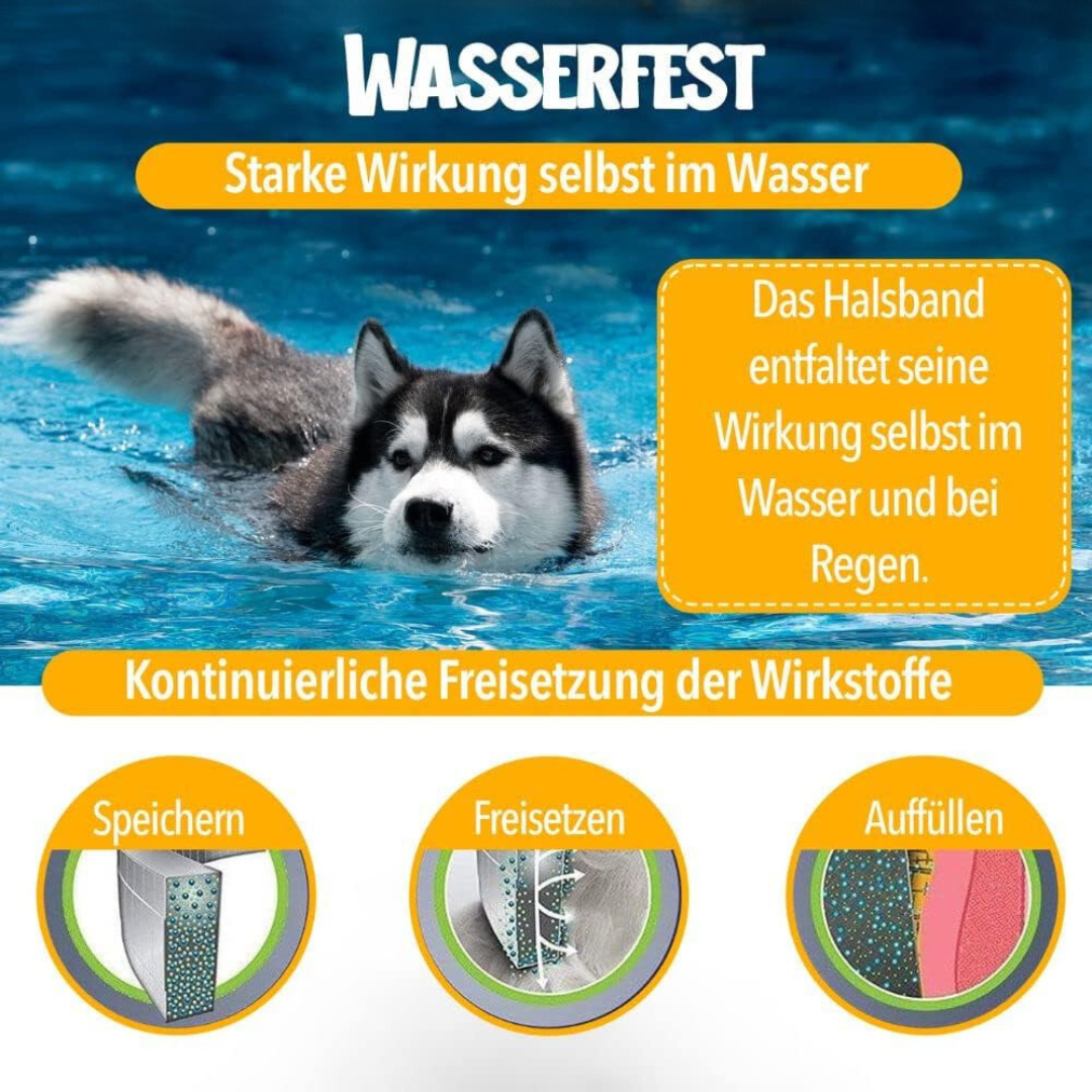 "Natürlicher Zecken- und Flohschutz Halsband für Hunde, stilvoll und in verschiedenen Farben mit 100% natürlichen Inhaltsstof
