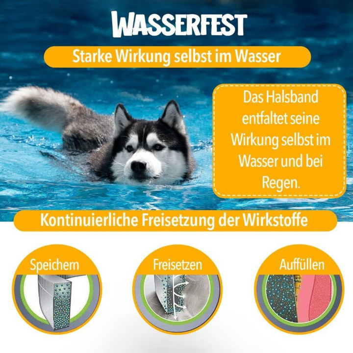 "Natürlicher Zecken- und Flohschutz Halsband für Hunde, stilvoll und in verschiedenen Farben mit 100% natürlichen Inhaltsstof