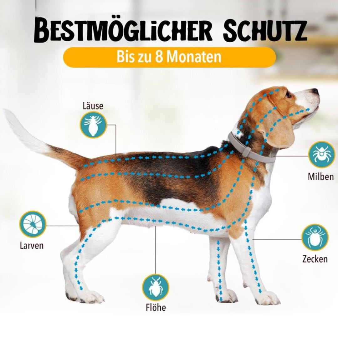 "Natürlicher Zecken- und Flohschutz Halsband für Hunde, stilvoll und in verschiedenen Farben mit 100% natürlichen Inhaltsstof
