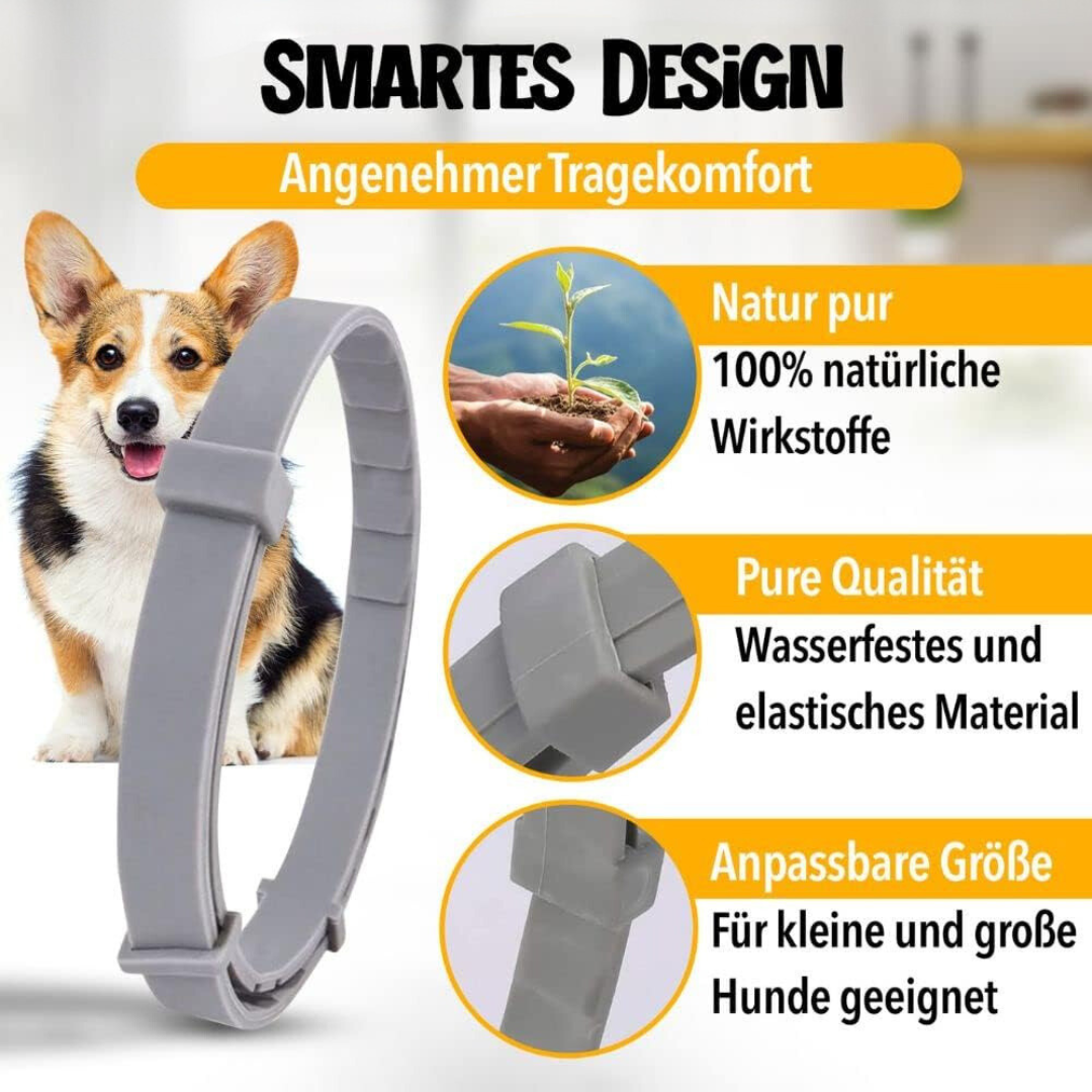 "Natürlicher Zecken- und Flohschutz Halsband für Hunde, stilvoll und in verschiedenen Farben mit 100% natürlichen Inhaltsstof