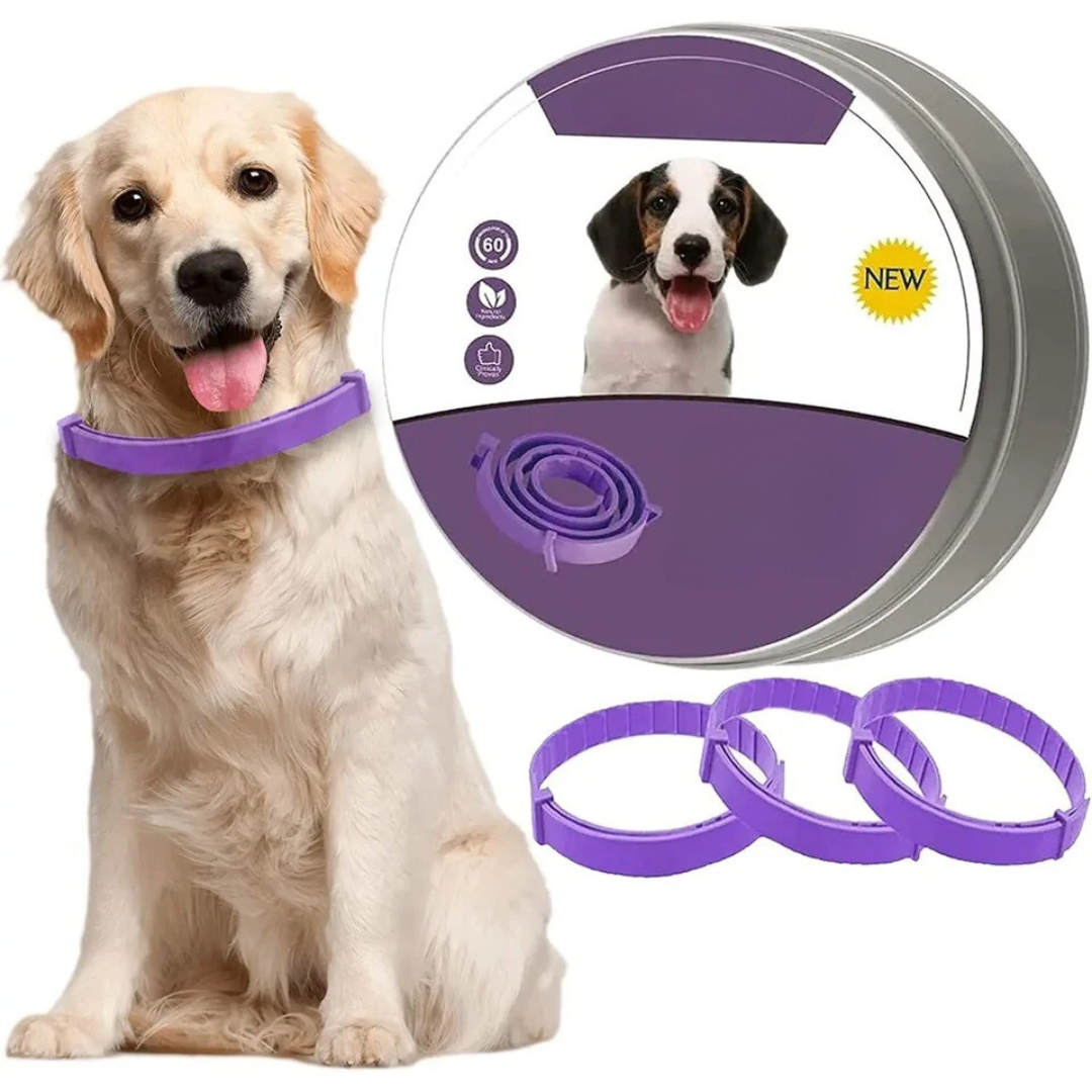 Pheromon Beruhigungs-Halsband für Haustiere, natürlich, wasserfest, gegen Stress, für Hunde und Katzen, grau oder lila.