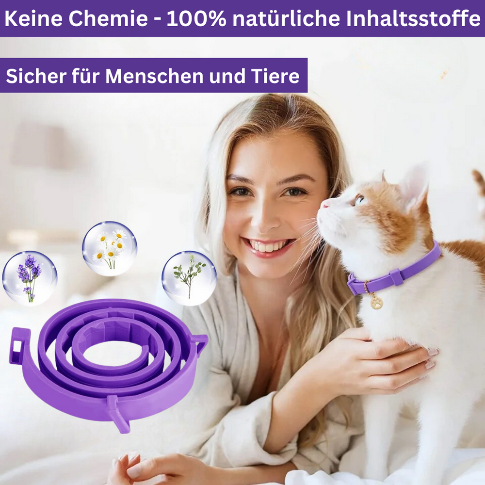 Pheromon Beruhigungs-Halsband für Haustiere, natürlich, wasserfest, gegen Stress, für Hunde und Katzen, grau oder lila.
