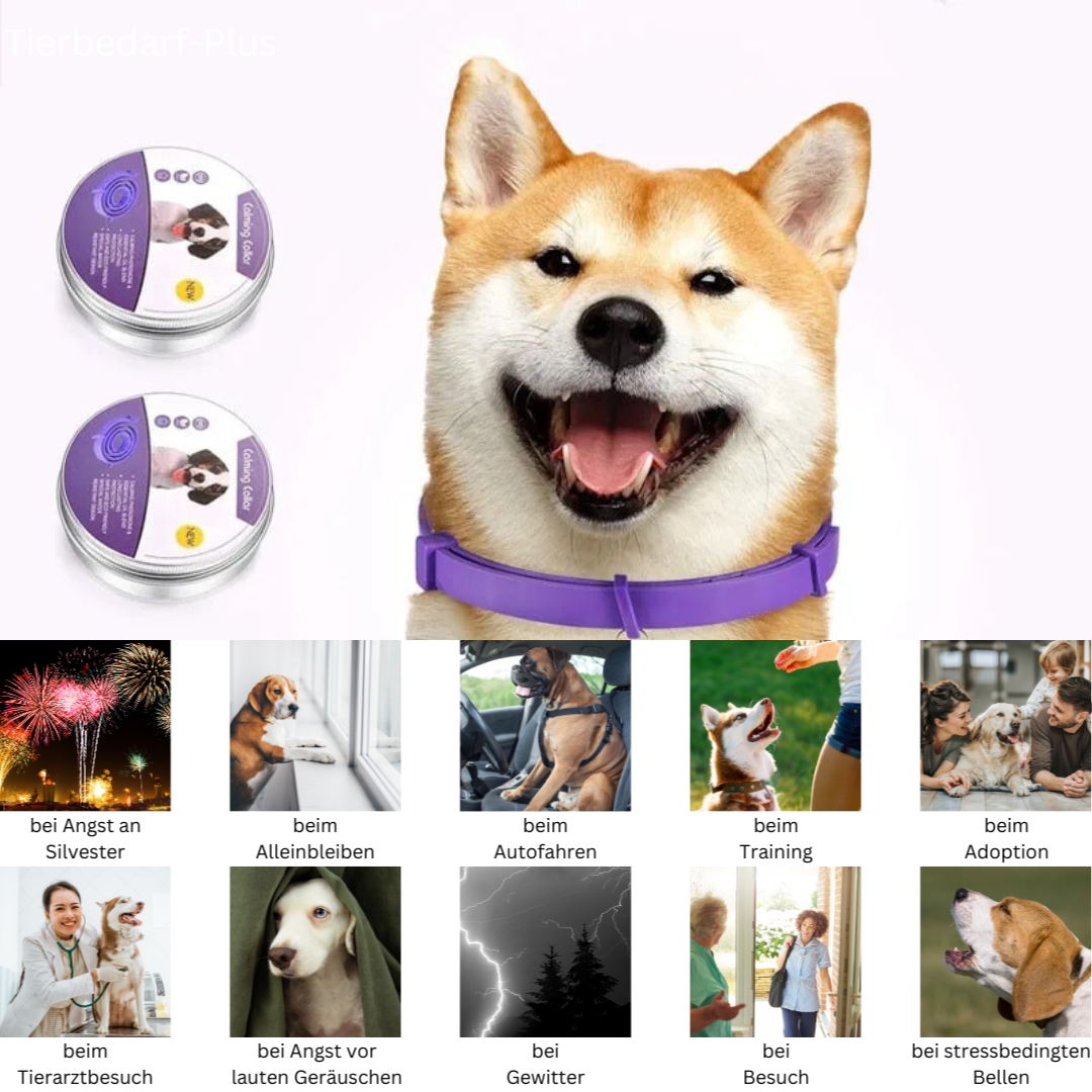 Pheromon Beruhigungs-Halsband für Haustiere, natürlich, wasserfest, gegen Stress, für Hunde und Katzen, grau oder lila.