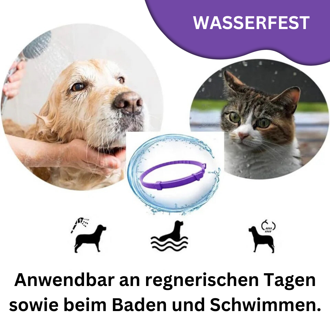 Pheromon Beruhigungs-Halsband für Haustiere, natürlich, wasserfest, gegen Stress, für Hunde und Katzen, grau oder lila.