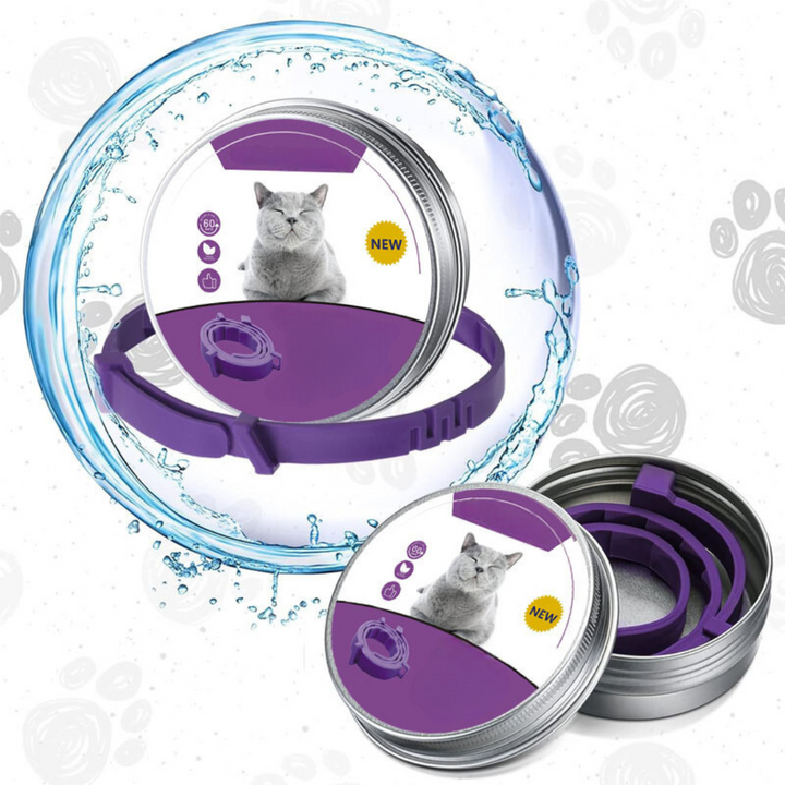 Pheromon Beruhigungs-Halsband für Haustiere, natürlich, wasserfest, gegen Stress, für Hunde und Katzen, grau oder lila.