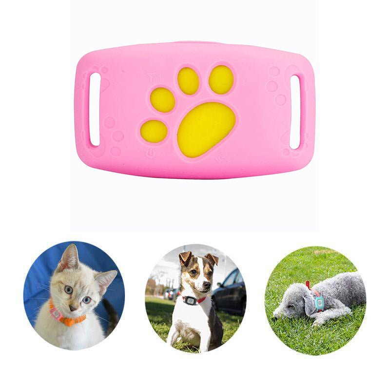 Intelligentes Katzen- und Hunde-GPS-Halsband – PawTrack