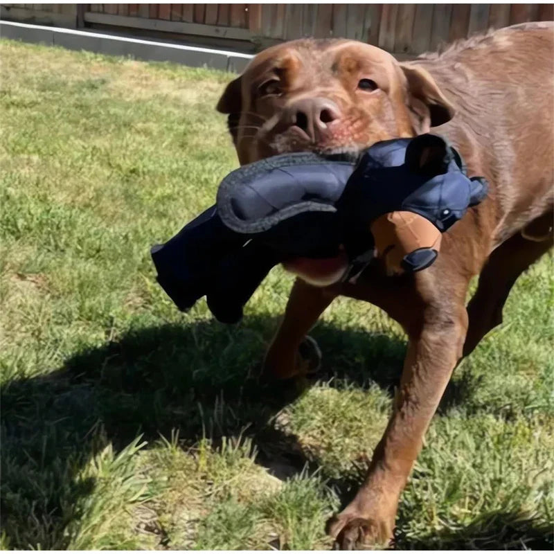 Robuster Plüsch Bär Hundespielzeug, weich und sicher, ideal für lange Spiele, strapazierfähige Materialien, mit Quietscher.