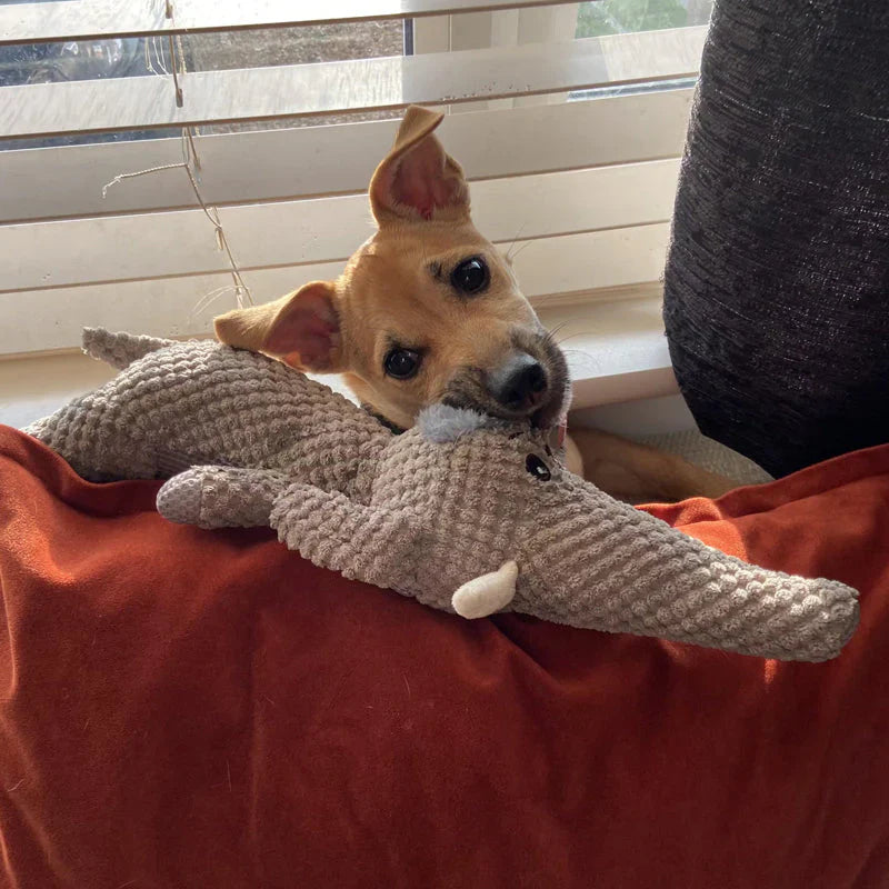"Robustes Hundespielzeug aus widerstandsfähigem Material, ideal für Zahnpflege und kräftige Kauer, in leuchtendem Blau."