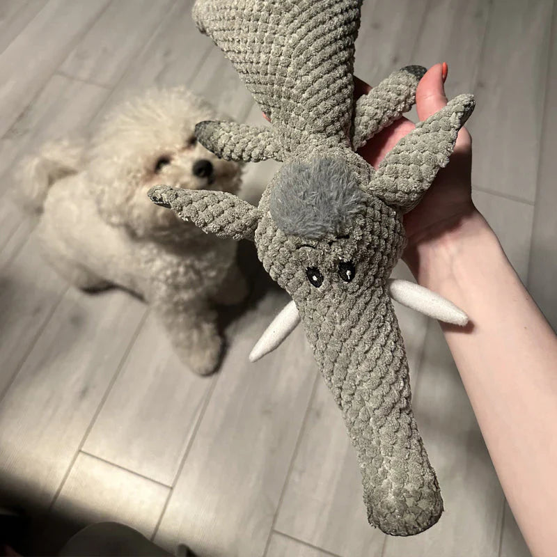 "Robustes Hundespielzeug aus widerstandsfähigem Material, ideal für Zahnpflege und kräftige Kauer, in leuchtendem Blau."