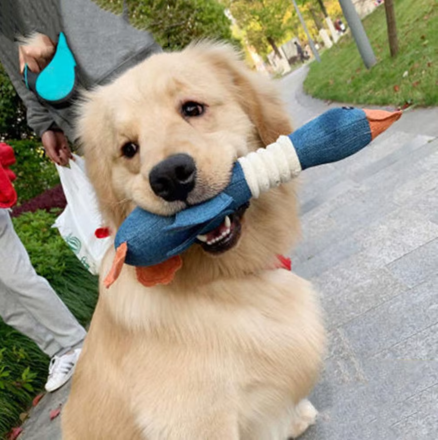 "Robustes Hundespielzeug für Kauen und Ziehen, blaues und braunes Design, ideal für aktive Hunde, langlebig und reißfest"