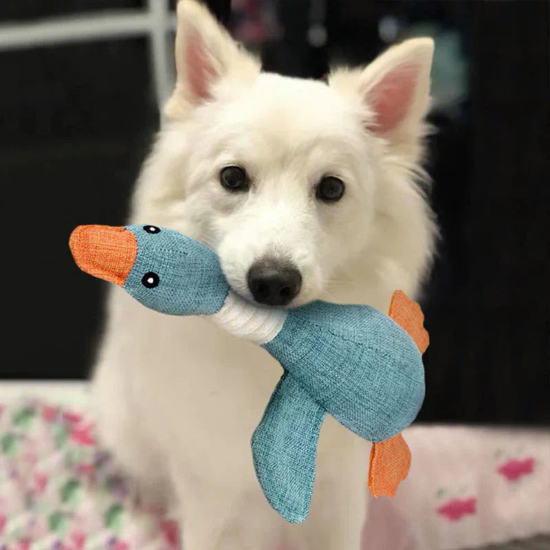 "Robustes Hundespielzeug für Kauen und Ziehen, blaues und braunes Design, ideal für aktive Hunde, langlebig und reißfest"