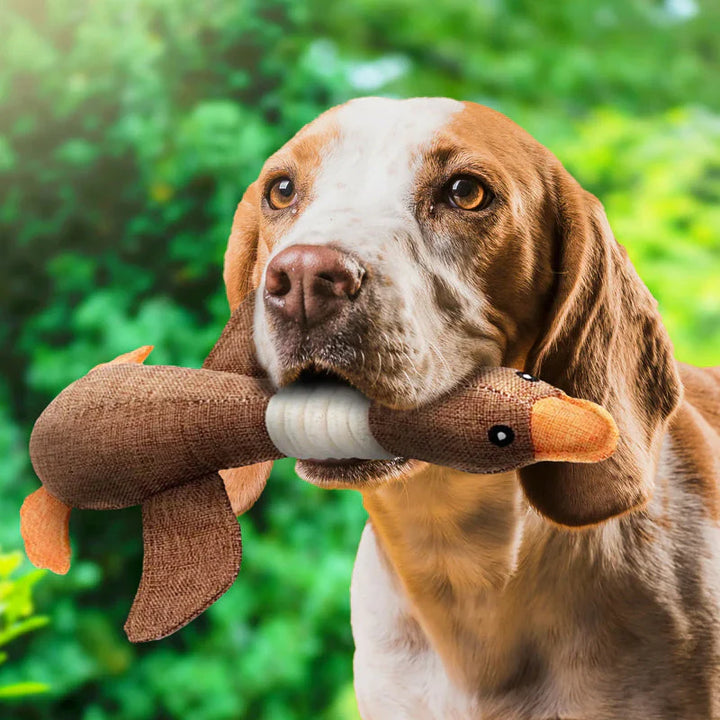 "Robustes Hundespielzeug für Kauen und Ziehen, blaues und braunes Design, ideal für aktive Hunde, langlebig und reißfest"