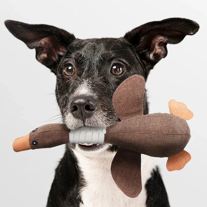 "Robustes Hundespielzeug für Kauen und Ziehen, blaues und braunes Design, ideal für aktive Hunde, langlebig und reißfest"