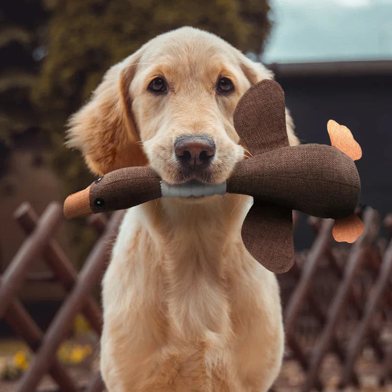 "Robustes Hundespielzeug für Kauen und Ziehen, blaues und braunes Design, ideal für aktive Hunde, langlebig und reißfest"