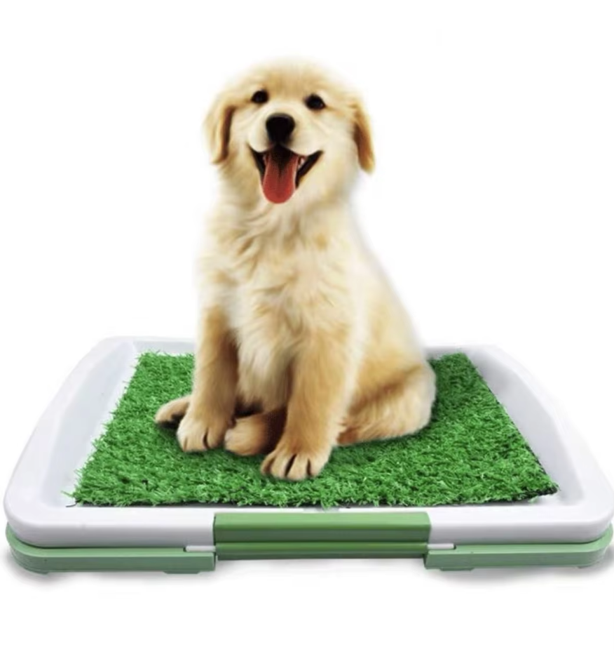 "Rutschfeste Hundetoilette mit Kunstrasen, ideal für drinnen und draußen, bietet natürliche Grasoptik in robustem Design."
