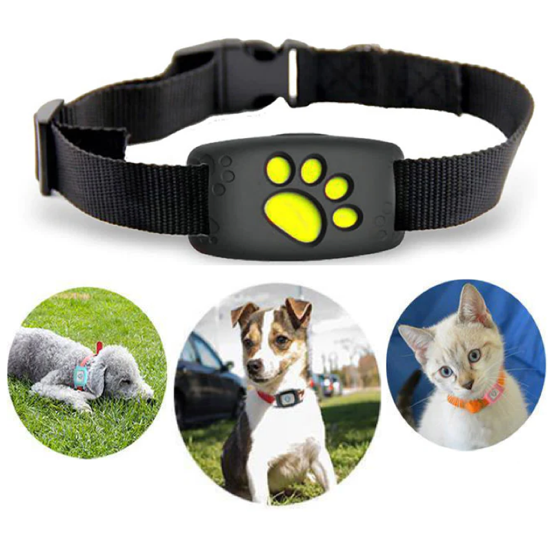 "Smart GPS Katzenhalsband, Echtzeit-Tracking, schwarzes Halsband mit robustem Design für Sicherheit"