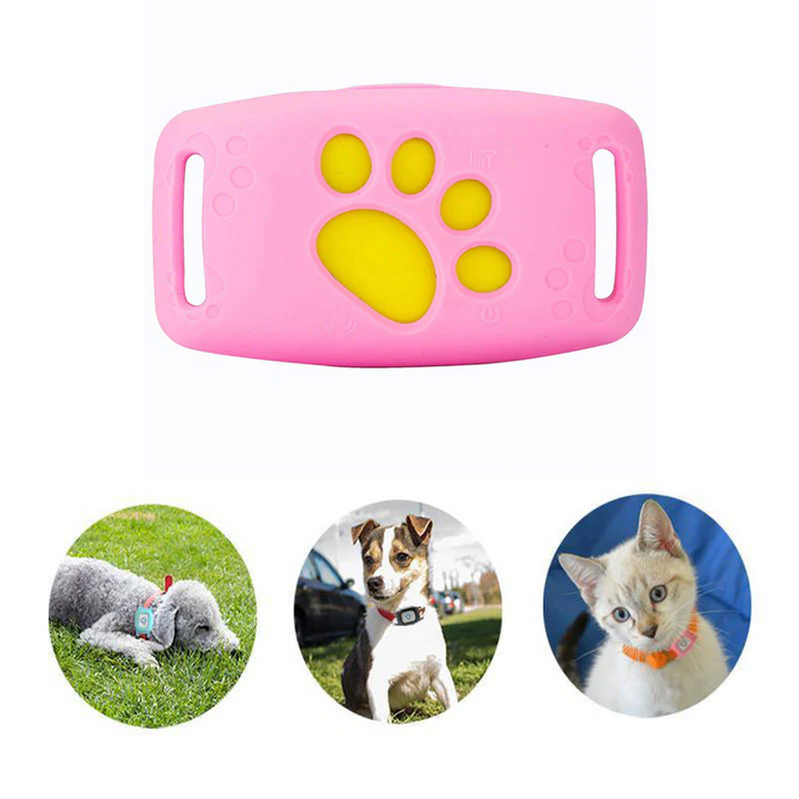 "Smart GPS Katzenhalsband, Echtzeit-Tracking, schwarzes Halsband mit robustem Design für Sicherheit"