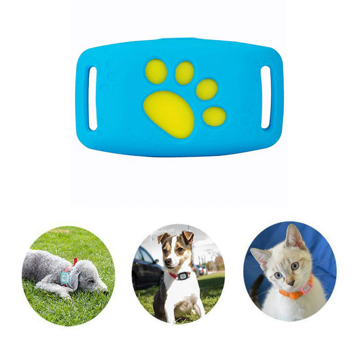 "Smart GPS Katzenhalsband, Echtzeit-Tracking, schwarzes Halsband mit robustem Design für Sicherheit"