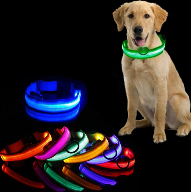 "Stilvolles LED Hundehalsband in bunt leuchtenden Farben, wetterfest, einstellbar, für kleine bis große Hunde geeignet."