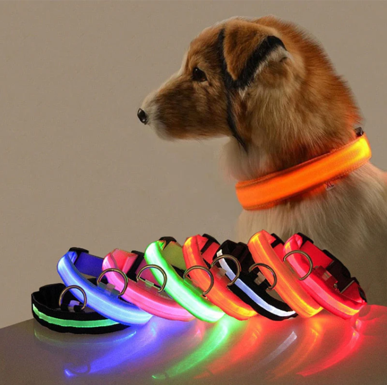"Stilvolles LED Hundehalsband in bunt leuchtenden Farben, wetterfest, einstellbar, für kleine bis große Hunde geeignet."